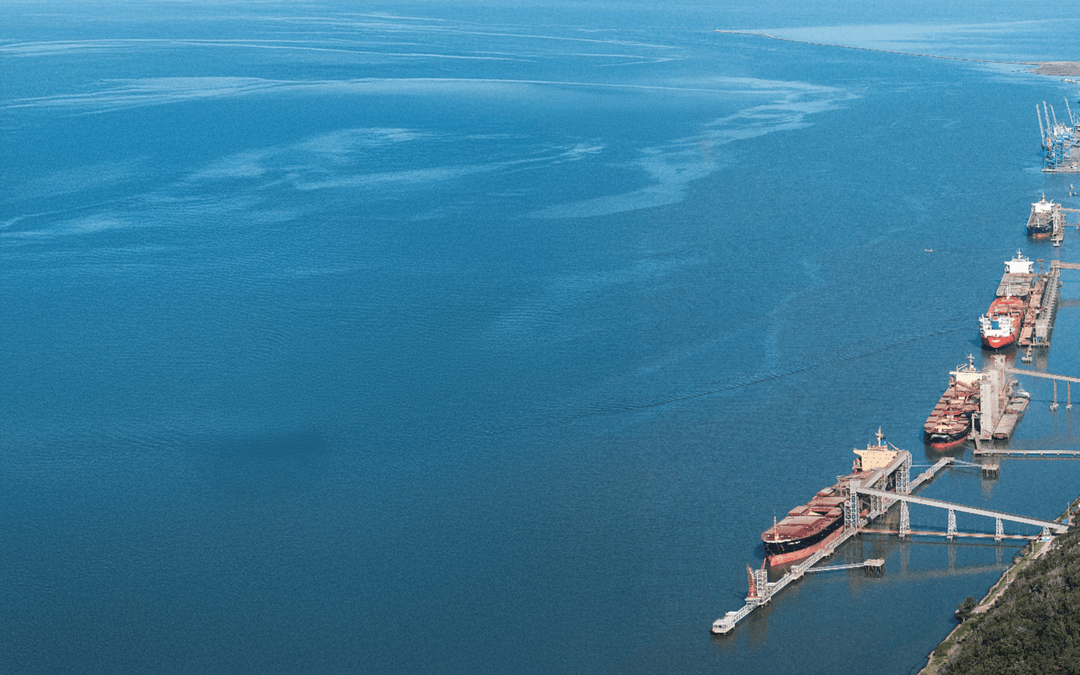 Imagem de alguns navios